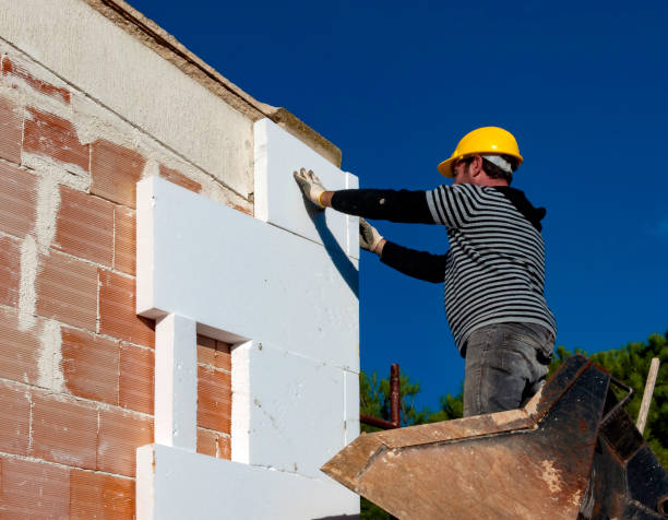 Best Cellulose Insulation in Maplewood, MO
