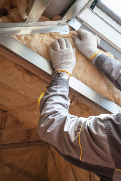 Best Spray Foam Insulation in Maplewood, MO