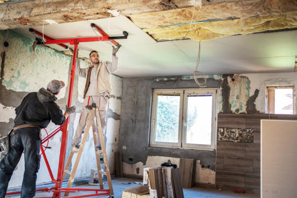 Best Spray Foam Insulation in Maplewood, MO