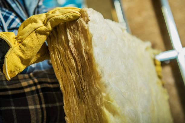 Best DIY Insulation Kits and Guidance in Maplewood, MO