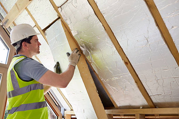 Best Specialized Insulation Services in Maplewood, MO
