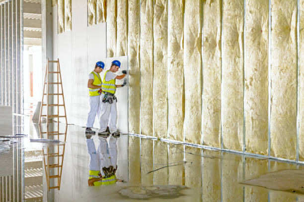 Best Eco-Friendly Insulation in Maplewood, MO